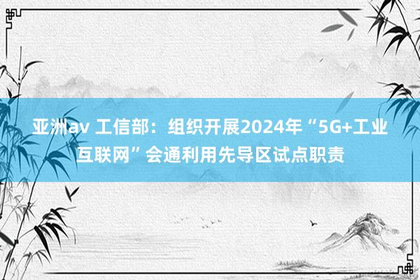 亚洲av 工信部：组织开展2024年“5G+工业互联网”会通利用先导区试点职责