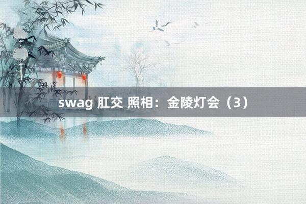 swag 肛交 照相：金陵灯会（3）