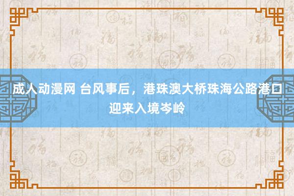 成人动漫网 台风事后，港珠澳大桥珠海公路港口迎来入境岑岭