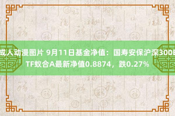 成人动漫图片 9月11日基金净值：国寿安保沪深300ETF蚁合A最新净值0.8874，跌0.27%