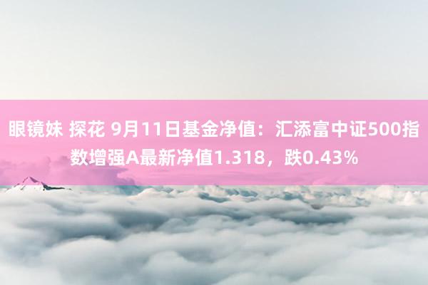 眼镜妹 探花 9月11日基金净值：汇添富中证500指数增强A最新净值1.318，跌0.43%