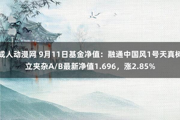 成人动漫网 9月11日基金净值：融通中国风1号天真树立夹杂A/B最新净值1.696，涨2.85%