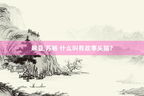 麻豆 苏畅 什么叫有政事头脑？