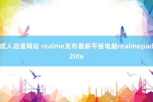 成人动漫网站 realme发布最新平板电脑realmepad2lite