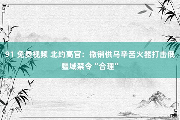 91 免费视频 北约高官：撤销供乌辛苦火器打击俄疆域禁令“合理”