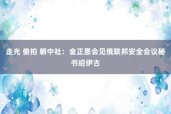 走光 偷拍 朝中社：金正恩会见俄联邦安全会议秘书绍伊古