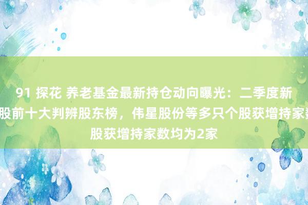 91 探花 养老基金最新持仓动向曝光：二季度新进61只个股前十大判辨股东榜，伟星股份等多只个股获增持家数均为2家