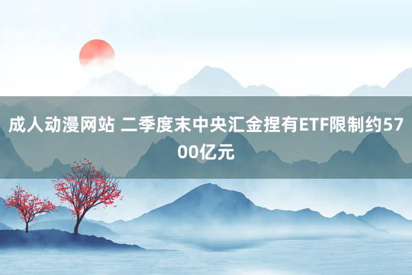 成人动漫网站 二季度末中央汇金捏有ETF限制约5700亿元