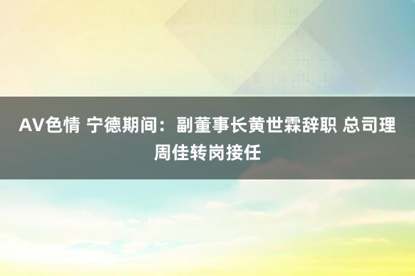 AV色情 宁德期间：副董事长黄世霖辞职 总司理周佳转岗接任