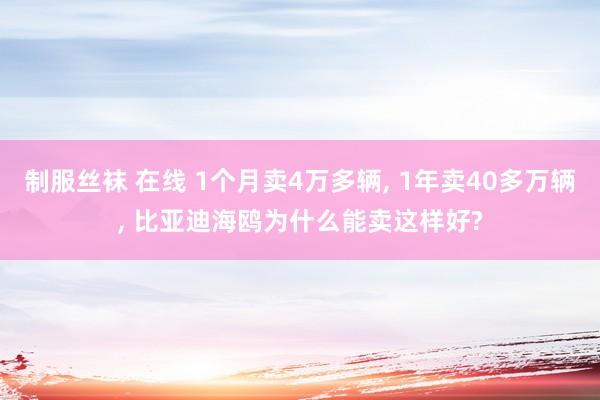 制服丝袜 在线 1个月卖4万多辆, 1年卖40多万辆, 比亚迪海鸥为什么能卖这样好?