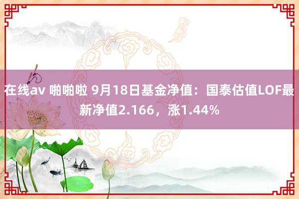 在线av 啪啪啦 9月18日基金净值：国泰估值LOF最新净值2.166，涨1.44%