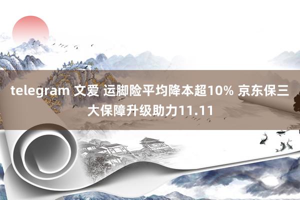 telegram 文爱 运脚险平均降本超10% 京东保三大保障升级助力11.11