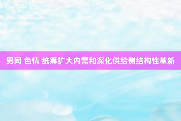 男同 色情 统筹扩大内需和深化供给侧结构性革新