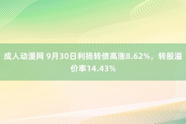 成人动漫网 9月30日利扬转债高涨8.62%，转股溢价率14.43%