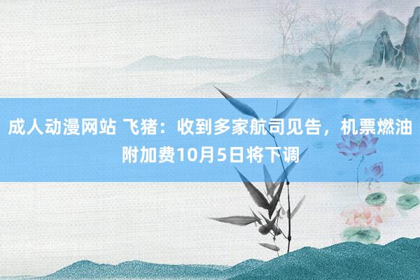 成人动漫网站 飞猪：收到多家航司见告，机票燃油附加费10月5日将下调