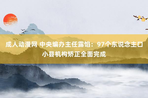 成人动漫网 中央编办主任露馅：97个东说念主口小县机构矫正全面完成