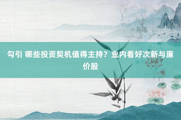 勾引 哪些投资契机值得主持？业内看好次新与廉价股