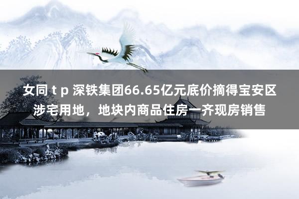 女同 t p 深铁集团66.65亿元底价摘得宝安区涉宅用地，地块内商品住房一齐现房销售