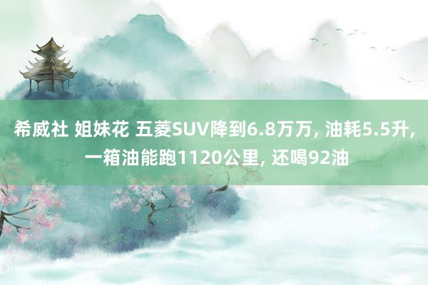 希威社 姐妹花 五菱SUV降到6.8万万， 油耗5.5升， 一箱油能跑1120公里， 还喝92油