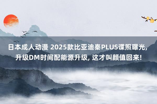 日本成人动漫 2025款比亚迪秦PLUS谍照曝光， 升级DM时间配能源升级， 这才叫颜值回来!