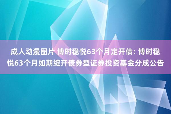 成人动漫图片 博时稳悦63个月定开债: 博时稳悦63个月如期绽开债券型证券投资基金分成公告