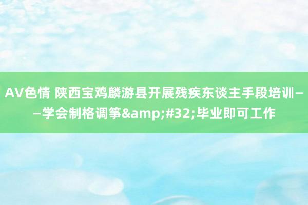 AV色情 陕西宝鸡麟游县开展残疾东谈主手段培训——学会制格调筝&#32;毕业即可工作