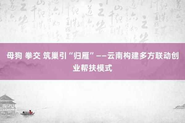 母狗 拳交 筑巢引“归雁”——云南构建多方联动创业帮扶模式