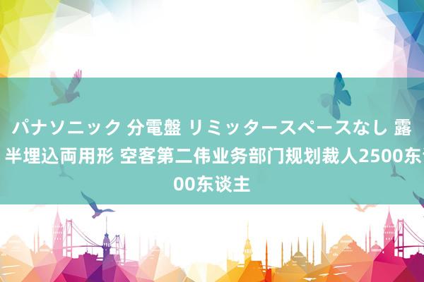 パナソニック 分電盤 リミッタースペースなし 露出・半埋込両用形 空客第二伟业务部门规划裁人2500东谈主