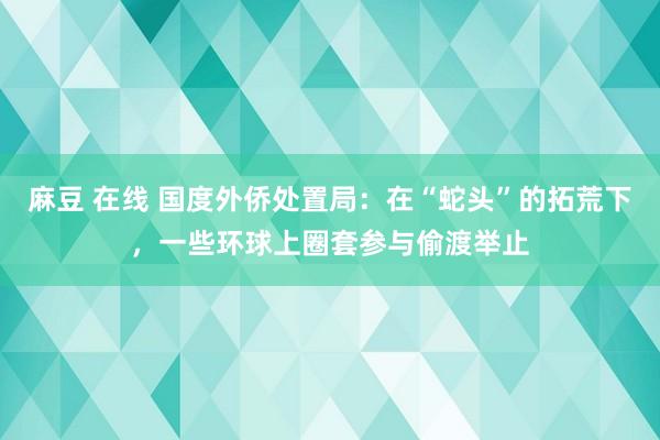 麻豆 在线 国度外侨处置局：在“蛇头”的拓荒下，一些环球上圈套参与偷渡举止