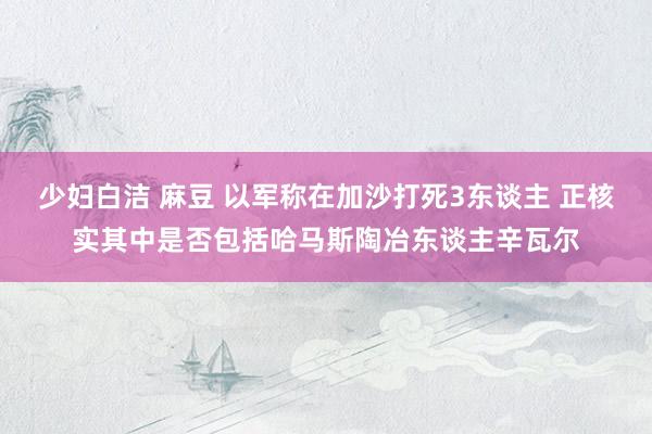 少妇白洁 麻豆 以军称在加沙打死3东谈主 正核实其中是否包括哈马斯陶冶东谈主辛瓦尔