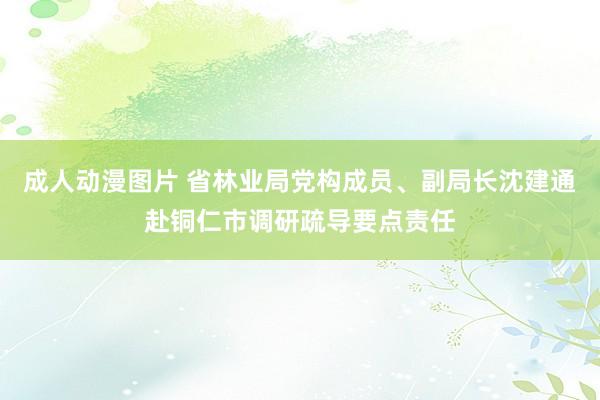 成人动漫图片 省林业局党构成员、副局长沈建通赴铜仁市调研疏导要点责任