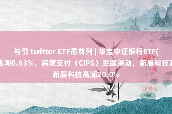 勾引 twitter ETF最前列 | 华宝中证银行ETF(512800)高潮0.63%，跨境支付（CIPS）主题颤动，新晨科技高潮20.0%