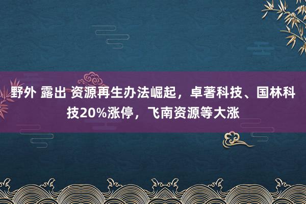 野外 露出 资源再生办法崛起，卓著科技、国林科技20%涨停，飞南资源等大涨