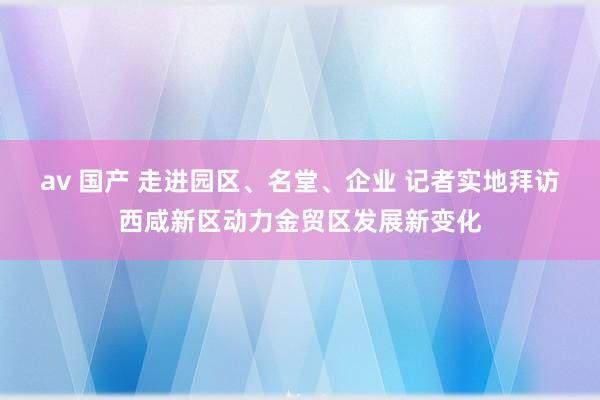 av 国产 走进园区、名堂、企业 记者实地拜访西咸新区动力金贸区发展新变化