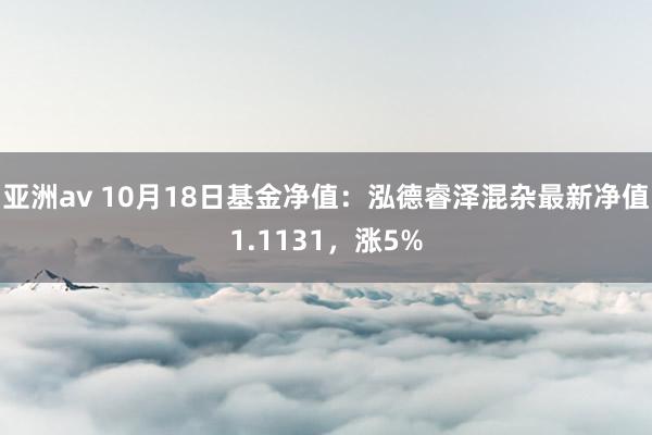 亚洲av 10月18日基金净值：泓德睿泽混杂最新净值1.1131，涨5%