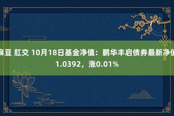 麻豆 肛交 10月18日基金净值：鹏华丰启债券最新净值1.0392，涨0.01%