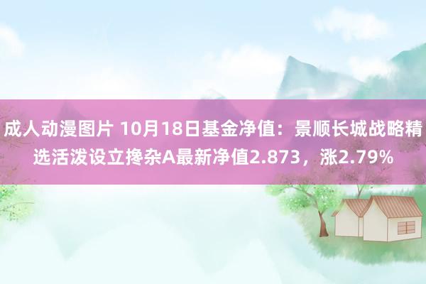 成人动漫图片 10月18日基金净值：景顺长城战略精选活泼设立搀杂A最新净值2.873，涨2.79%