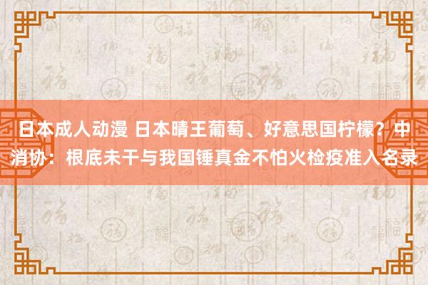 日本成人动漫 日本晴王葡萄、好意思国柠檬？中消协：根底未干与我国锤真金不怕火检疫准入名录