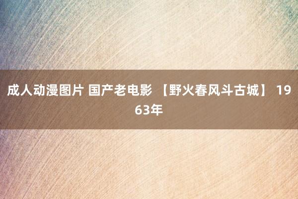 成人动漫图片 国产老电影 【野火春风斗古城】 1963年