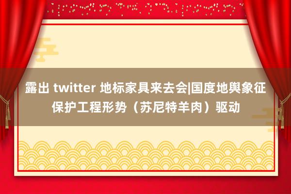 露出 twitter 地标家具来去会|国度地舆象征保护工程形势（苏尼特羊肉）驱动