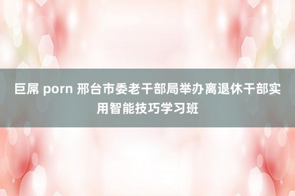 巨屌 porn 邢台市委老干部局举办离退休干部实用智能技巧学习班