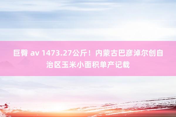 巨臀 av 1473.27公斤！内蒙古巴彦淖尔创自治区玉米小面积单产记载