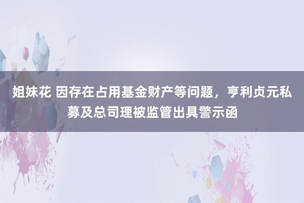 姐妹花 因存在占用基金财产等问题，亨利贞元私募及总司理被监管出具警示函