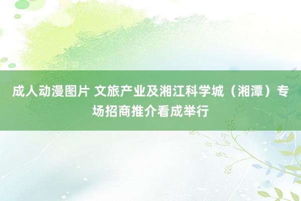 成人动漫图片 文旅产业及湘江科学城（湘潭）专场招商推介看成举行