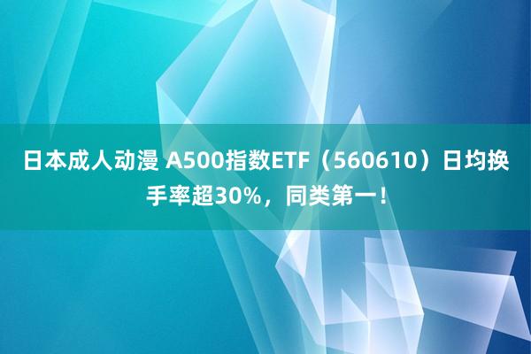 日本成人动漫 A500指数ETF（560610）日均换手率超30%，同类第一！