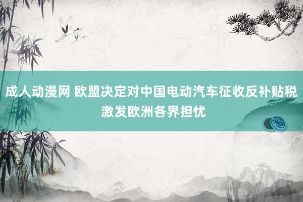 成人动漫网 欧盟决定对中国电动汽车征收反补贴税 激发欧洲各界担忧