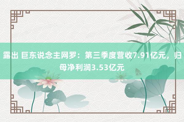 露出 巨东说念主网罗：第三季度营收7.91亿元，归母净利润3.53亿元