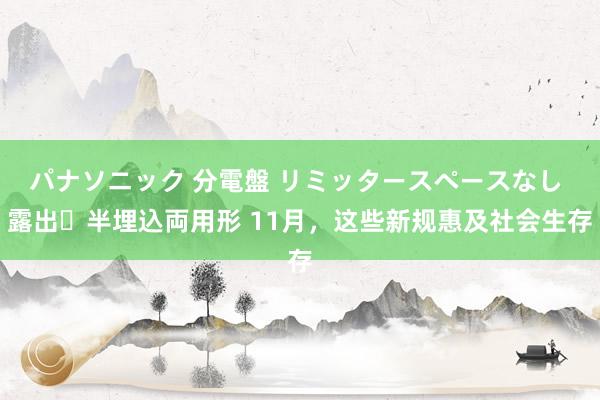 パナソニック 分電盤 リミッタースペースなし 露出・半埋込両用形 11月，这些新规惠及社会生存