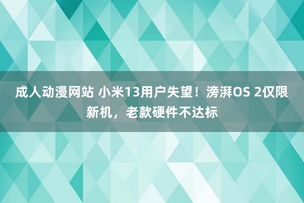 成人动漫网站 小米13用户失望！滂湃OS 2仅限新机，老款硬件不达标