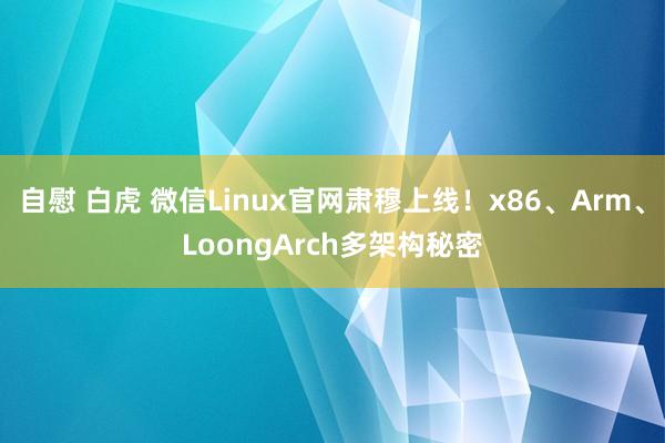 自慰 白虎 微信Linux官网肃穆上线！x86、Arm、LoongArch多架构秘密